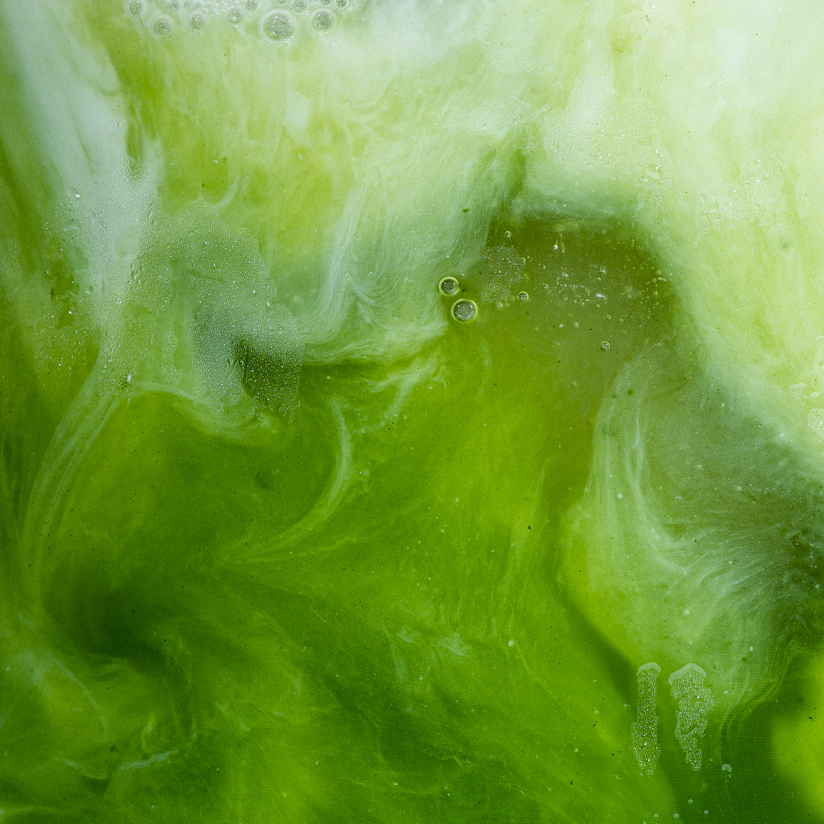 How to Store Matcha: The Definitive Science-Backed Guide