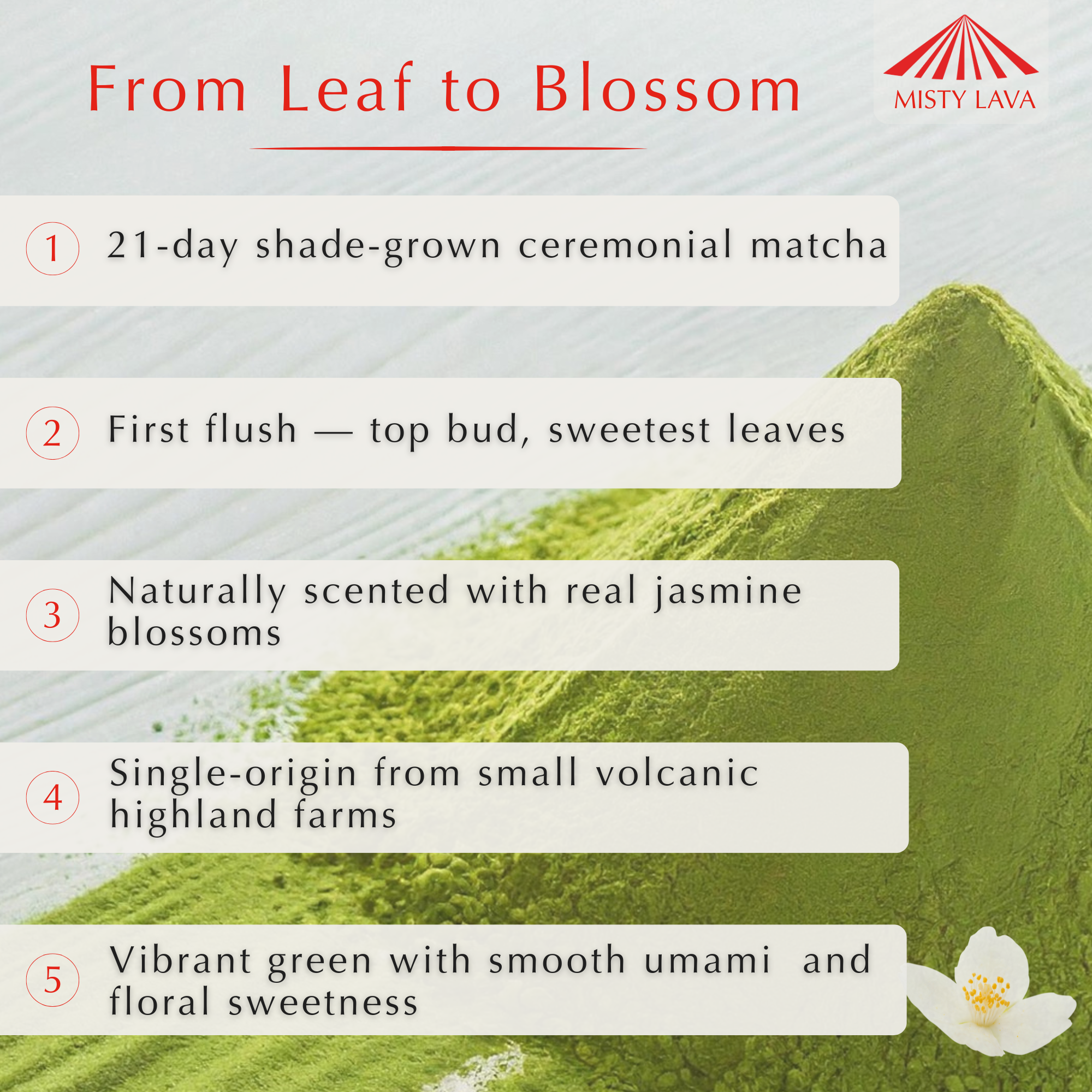 Ceremonial Jasmine Oolong Matcha Powder — Aromatic • Floral • Smooth — 1.06 oz (30 g) Tin