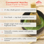 Mist & Fire Matcha Collection – Ceremonial, Jasmine, Culinary & Hōjicha (4 x 30g Tins)
