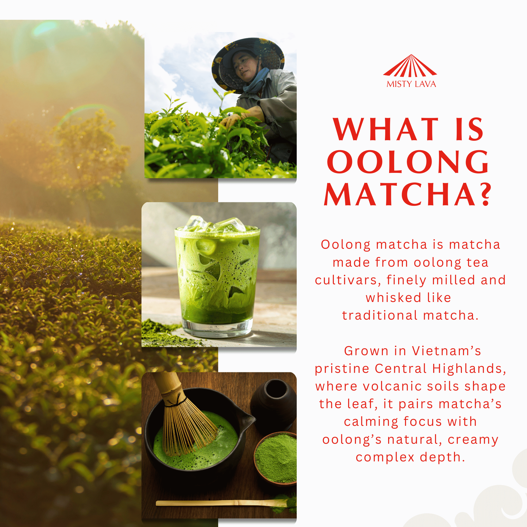 Oolong Matcha Powder Gift Collection — Ceremonial · Jasmine · Culinary · Hōjicha (includes 4 × 30 g tins)