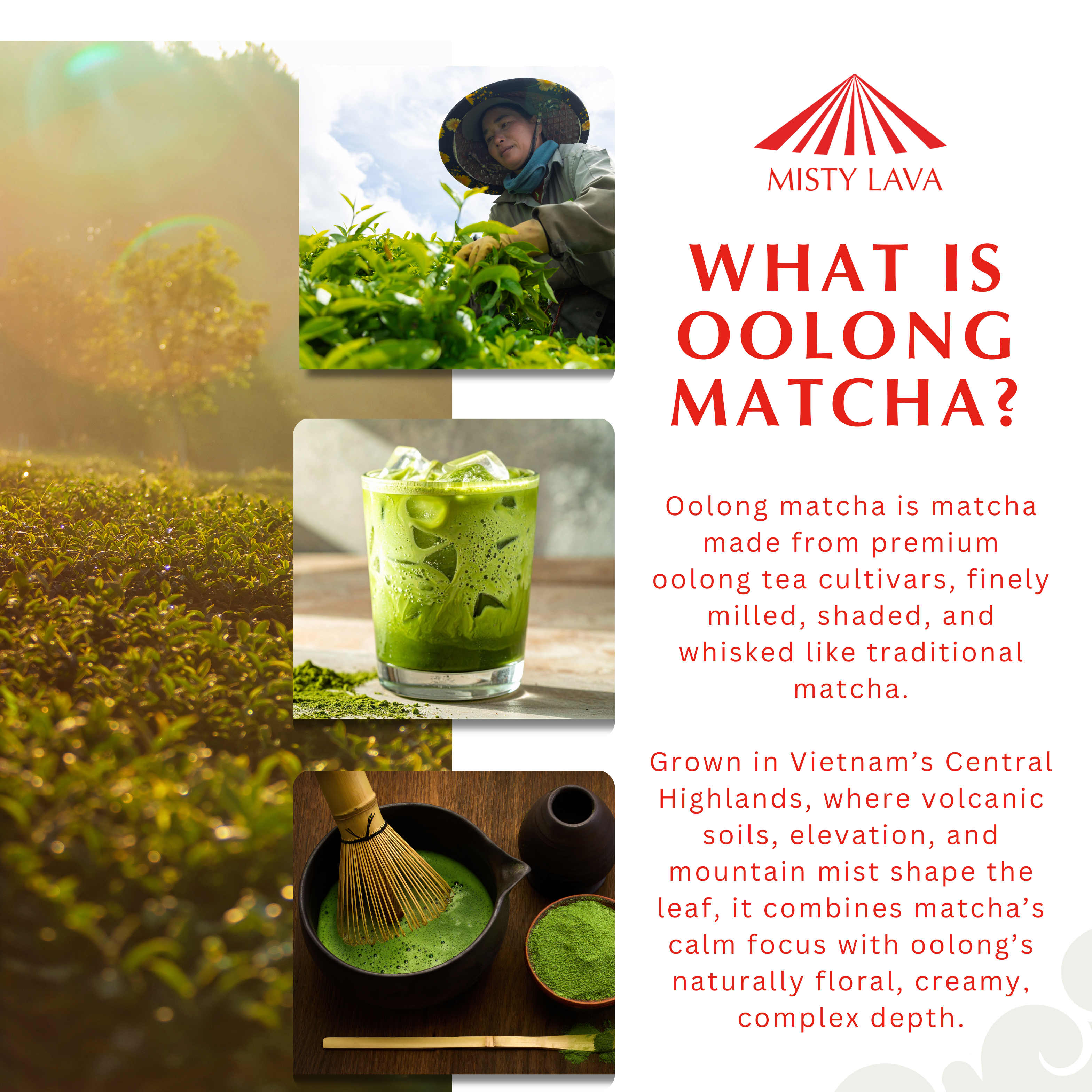 Oolong Matcha Gift Set — Ceremonial, Jasmine, Culinary & Hōjicha (4 × 30 g tins)